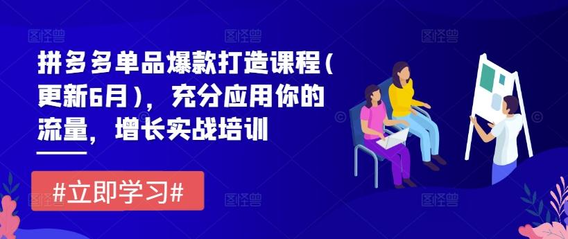 拼多多单品爆款打造课程(更新6月)，充分应用你的流量，增长实战培训-知库