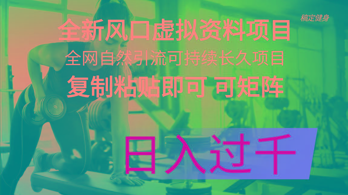 全新风口虚拟资料项目 全网自然引流可持续长久项目 复制粘贴即可可矩阵…-知库