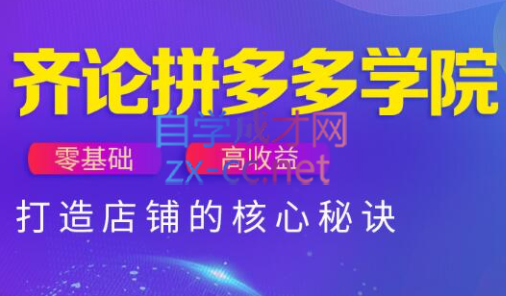 齐论拼多多vip课程-知库