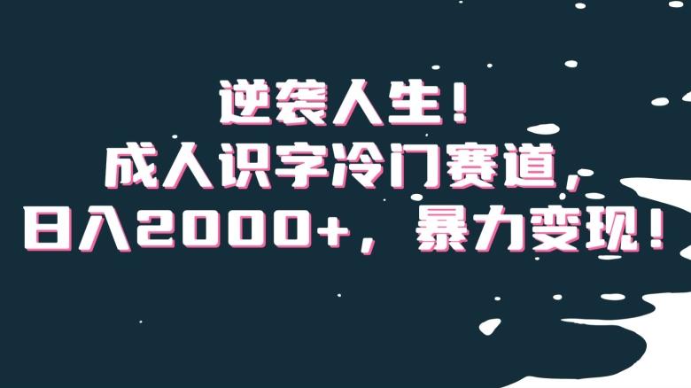 逆袭人生！成人识字冷门赛道，日入2000+，暴力变现！【揭秘】-知库