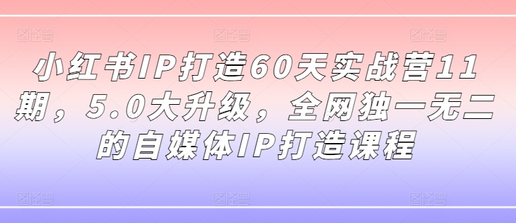 小红书IP打造60天实战营11期，5.0大升级，全网独一无二的自媒体IP打造课程-知库