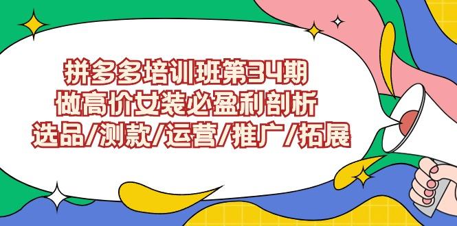 (9333期)拼多多培训班第34期：做高价女装必盈利剖析  选品/测款/运营/推广/拓展-知库