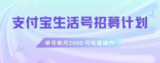 支付宝生活号作者招募计划，单号单月2600，可批量去做，工作室一人一个月轻松1w+【揭秘】-知库