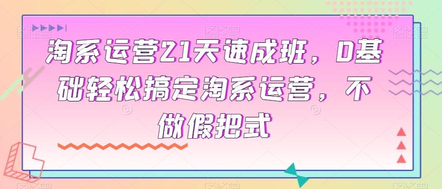 淘系运营21天速成班，0基础轻松搞定淘系运营，不做假把式-知库