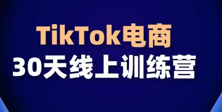 TikTok电商带货30天线上课，不可错过的全球流量洼地！-知库