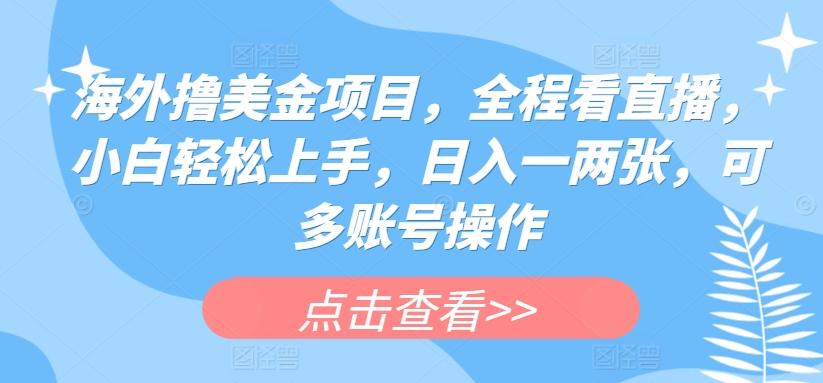 海外撸美金项目，全程看直播，小白轻松上手，日入一两张，可多账号操作【揭秘】-知库