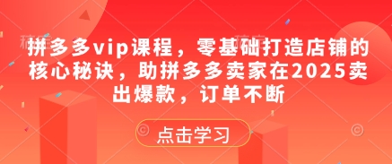 拼多多vip课程，零基础打造店铺的核心秘诀，助拼多多卖家在2025卖出爆款，订单不断-知库