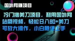 冷门撸美刀项目，利用国外网站刷视频，轻松日入80+美刀，可放大操作，小白随便上手-知库