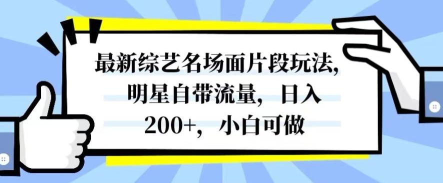 最新综艺名场面片段玩法，明星自带流量，日入200+，小白可做【揭秘】-知库