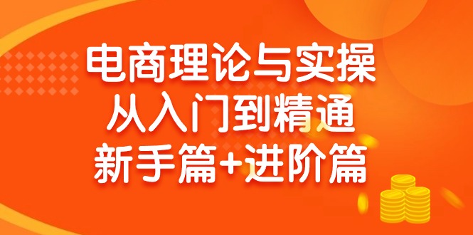 (9576期)电商理论与实操从入门到精通 新手篇+进阶篇-知库