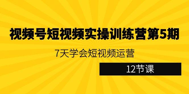 视频号短视频实操训练营第5期：7天学会短视频运营(12节课)-知库