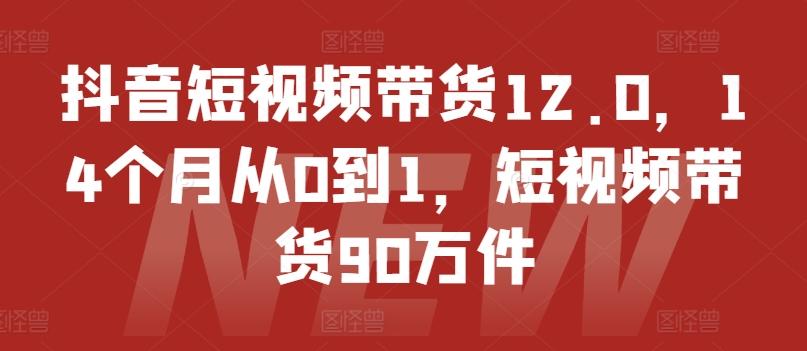 抖音短视频带货12.0，14个月从0到1，短视频带货90万件-知库