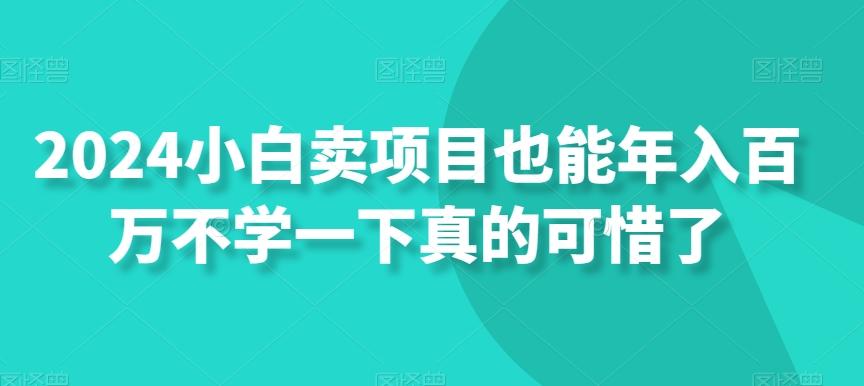 2024小白卖项目也能年入百万不学一下真的可惜了-知库