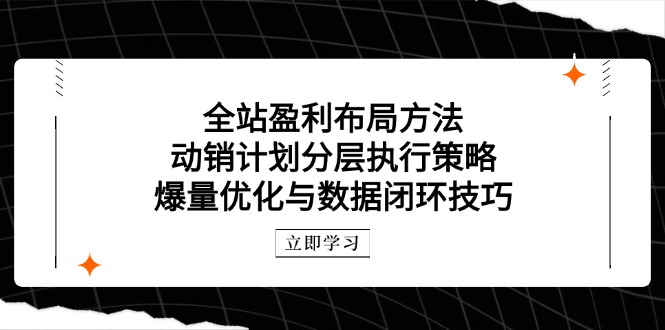 全站盈利布局方法：动销计划分层执行策略，爆量优化与数据闭环技巧-知库
