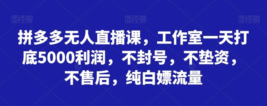 拼多多无人直播课，工作室一天打底5000利润，不封号，不垫资，不售后，纯白嫖流量-知库