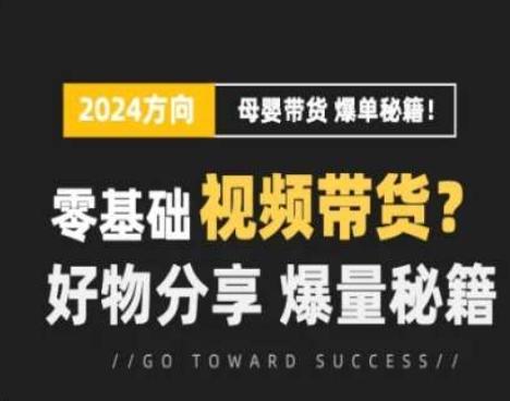 短视频母婴赛道实操流量训练营，零基础视频带货，好物分享，爆量秘籍-知库