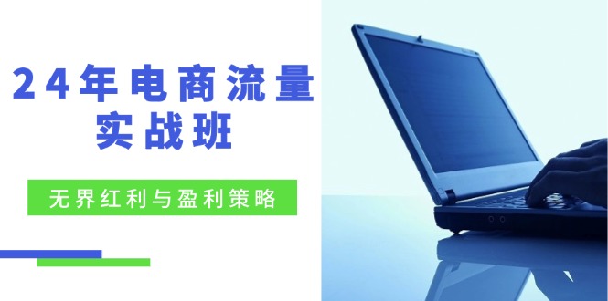 24年电商流量实战班：无界 红利与盈利策略，终极提升/关键词优化/精准…-知库