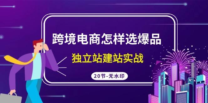 (9369期)跨境电商怎样选爆品，独立站建站实战(20节高清无水印课)-知库