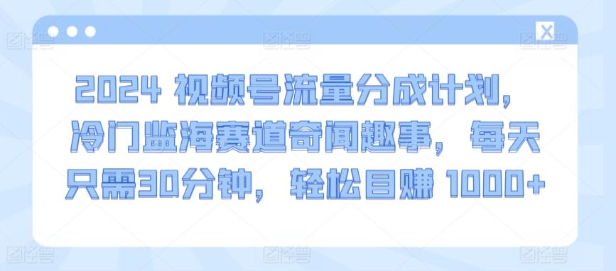 2024视频号流量分成计划，冷门监海赛道奇闻趣事，每天只需30分钟，轻松目赚 1000+【揭秘】-知库