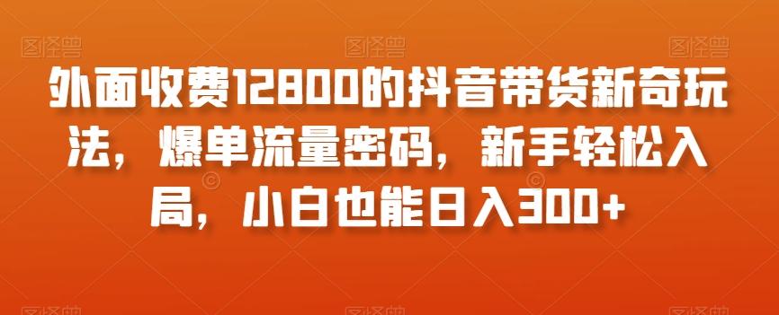 外面收费12800的抖音带货新奇玩法，爆单流量密码，新手轻松入局，小白也能日入300+【揭秘】-知库