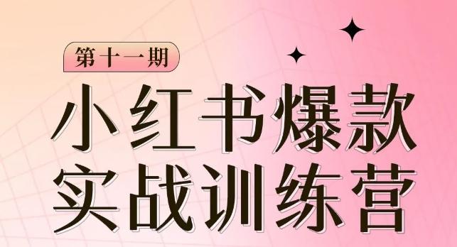 小红书博主爆款训练营第11期，手把手教你从0-1做小红书，从定位到起号到变现-知库