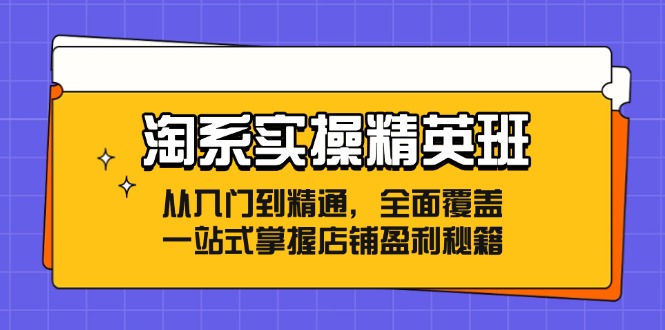 淘系实操精英班：从入门到精通，全面覆盖，一站式掌握店铺盈利秘籍-知库