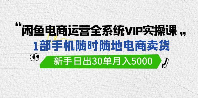 (9547期)闲鱼电商运营全系统VIP实战课，1部手机随时随地卖货，新手日出30单月入5000-知库