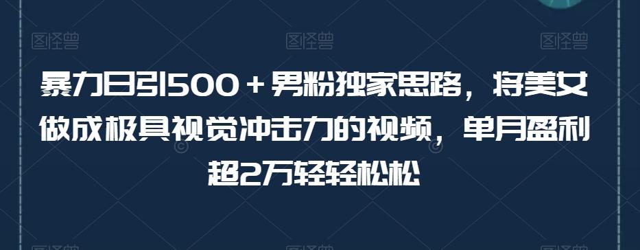 暴力日引500＋男粉独家思路，将美女做成极具视觉冲击力的视频，单月盈利超2万轻轻松松-知库