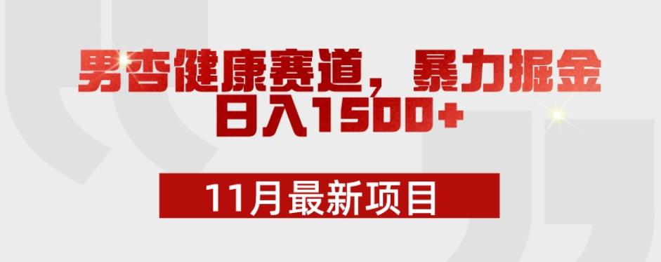 11月最新项目，男杏健康赛道，暴力掘金，日入1500+-知库