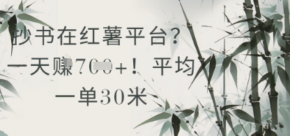 抄书在小红薯平台？平均一单30米，一天收益几张！-知库