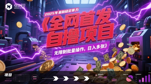 全网首发，2025年最新稳定暴力全自动自撸项目，无限制批量操作，日入多张【揭秘】-知库