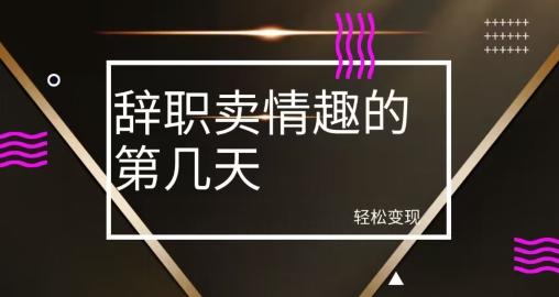 冷门赛道，辞职卖情趣的第几天，超暴力项目-知库