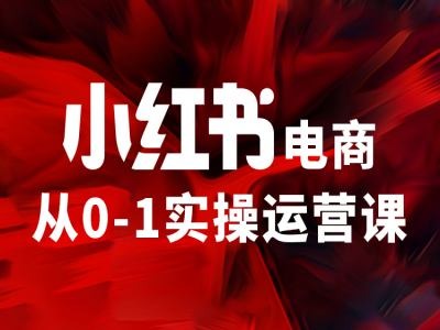 小红书电商从0-1实操运营课，让你从小白到精英-知库