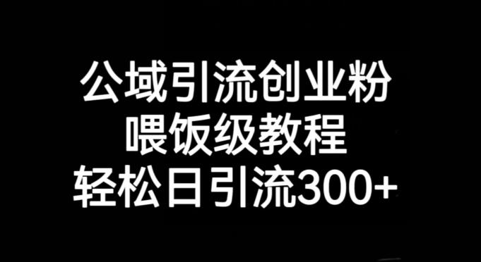 公域引流创业粉，喂饭级教程，轻松日引流300+【揭秘】-知库