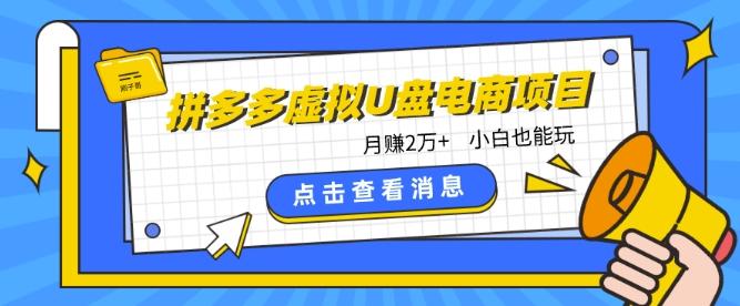 拼多多虚拟U盘电商红利项目：月赚2万+，新手小白也能玩-知库