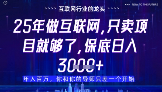 什么！25年你还在找项目做？风口早就变了，卖项目才是稳挣不赔【揭秘】-知库商学院