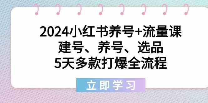 2024小红书养号+流量课：建号、养号、选品，5天多款打爆全流程-知库