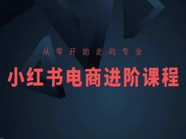 从零开始走向专业，小红书电商进阶课程-知库