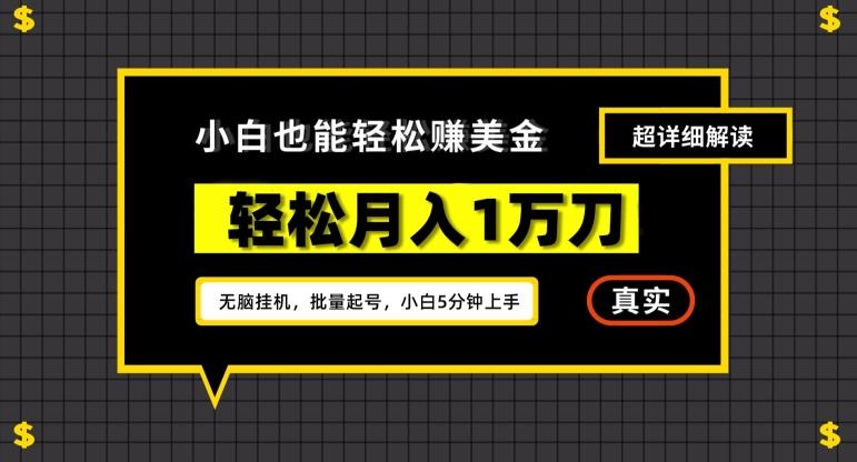 谷歌看广告撸美金2.0，无脑挂机，多号操作，月入1万刀【揭秘】-知库