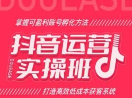 抖音运营实操班，掌握可盈利账号孵化方法，打造高效低成本获客系统-知库