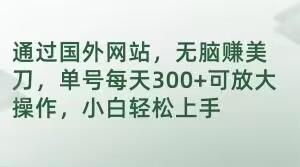 通过国外网站，无脑赚美刀，单号每天300+可放大操作，小白轻松上手【揭秘】-知库