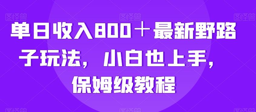 单日收入800＋最新野路子玩法，小白也上手，保姆级教程-知库