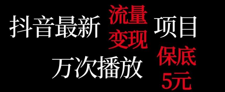 抖音流量变现，万次播放保底5元，额外收入-知库