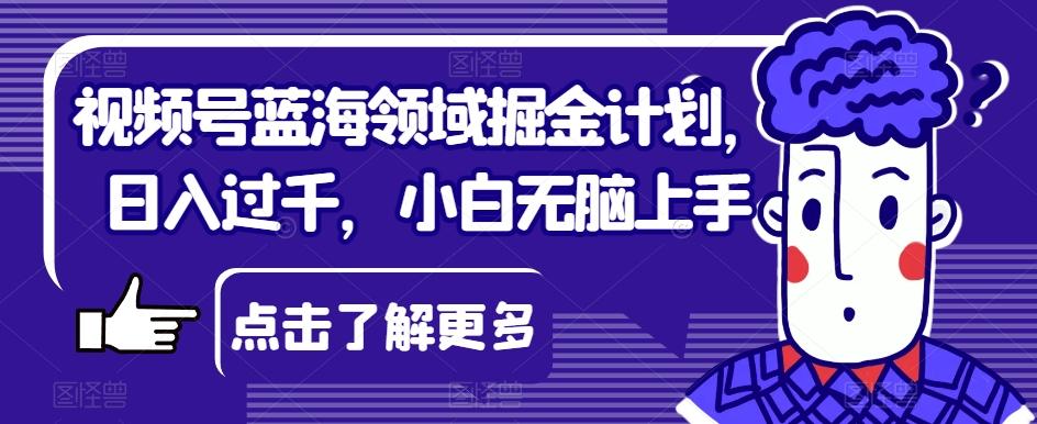 视频号蓝海领域掘金计划，日入过千，小白无脑上手【揭秘】-知库