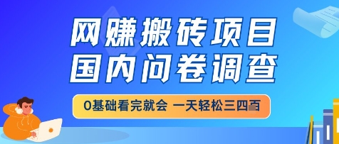 网创搬砖项目，国内问卷调查，小白轻松上手，一天三四张的也不难，干就完了【揭秘】-知库