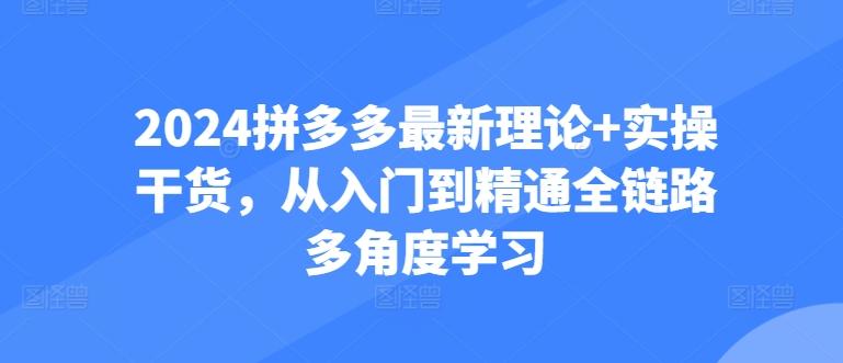 2024拼多多最新理论+实操干货，从入门到精通全链路多角度学习-知库