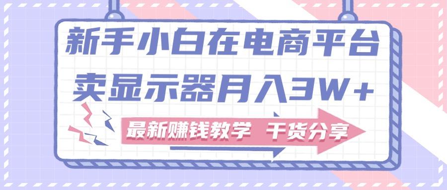 新手小白如何做到在电商平台卖显示器月入3W+，最新赚钱教学干货分享-知库