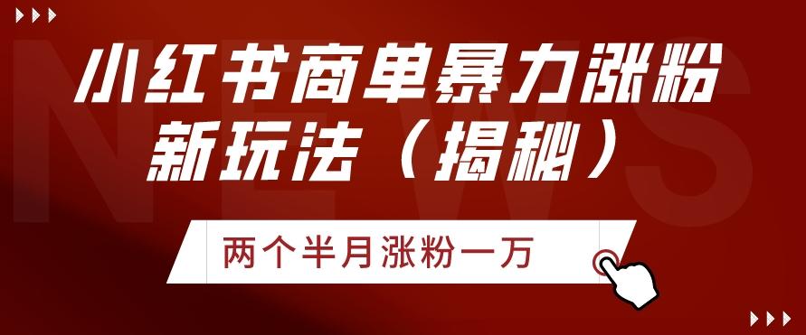 小红书商单暴力涨粉新玩法两个半月涨粉一万（揭秘）-知库