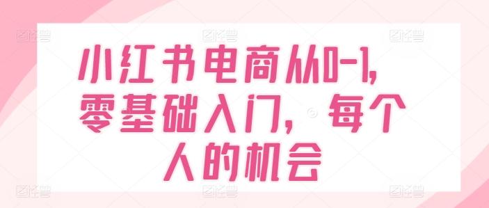 小红书电商从0-1，零基础入门，每个人的机会-知库