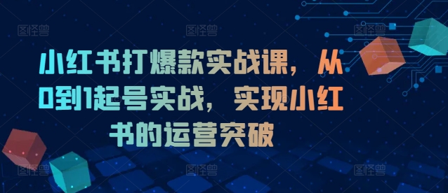 小红书打爆款实战课，从0到1起号实战，实现小红书的运营突破-知库